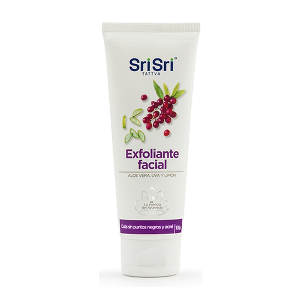 [1934] Exfoliante con extractos de Aloe Vera; Rosa; Pepino y Limón x 100 g
